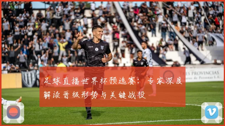 足球直播世界杯预选赛：专家深度解读晋级形势与关键战役