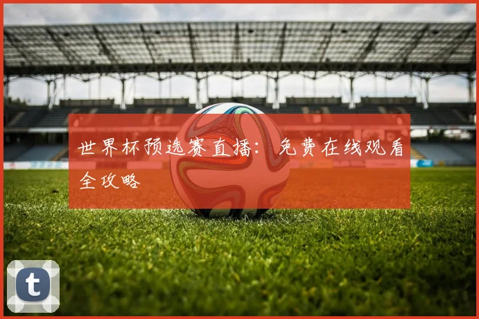 世界杯预选赛直播：免费在线观看全攻略