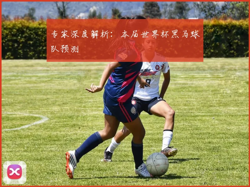 专家深度解析:本届世界杯黑马球队预测
