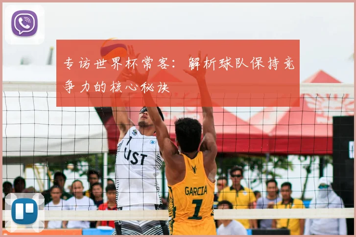 专访世界杯常客：解析球队保持竞争力的核心秘诀