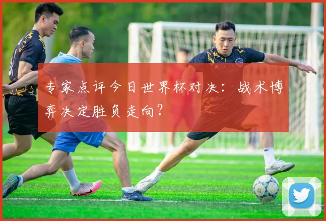 专家点评今日世界杯对决:战术博弈决定胜负走向?