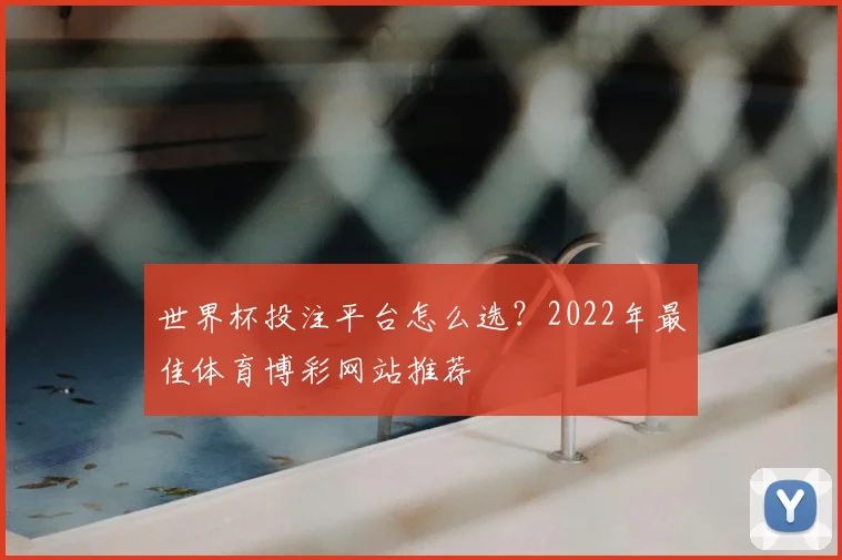 世界杯投注平台怎么选?2022年最佳体育博彩网站推荐