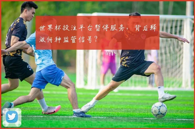 世界杯投注平台暂停服务,背后释放何种监管信号?