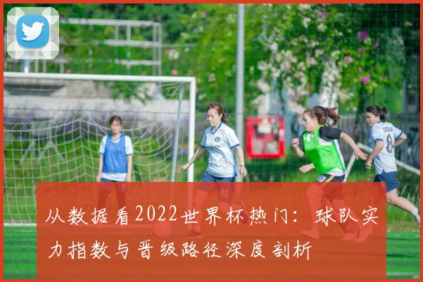 从数据看2022世界杯热门:球队实力指数与晋级路径深度剖析